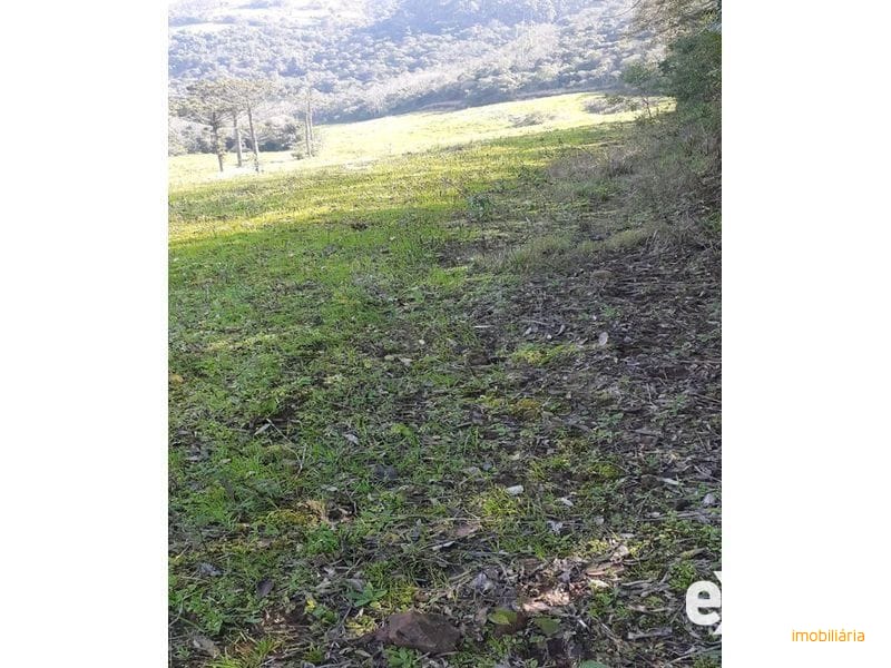 ÁREA DE TERRA - SESSÃO DOURADINHO 8