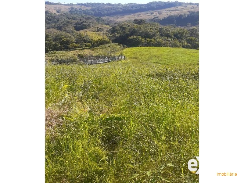 ÁREA DE TERRA - SESSÃO DOURADINHO 9