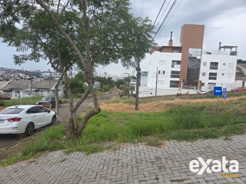TERRENO - PARAÍSO 4