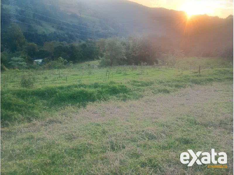 ÁREA DE TERRA - ARVOREDO 7