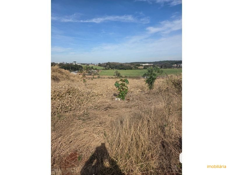 TERRENO - ARARAS
