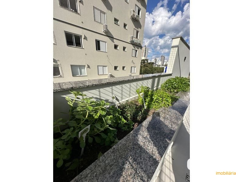 APARTAMENTO - CENTRO 11