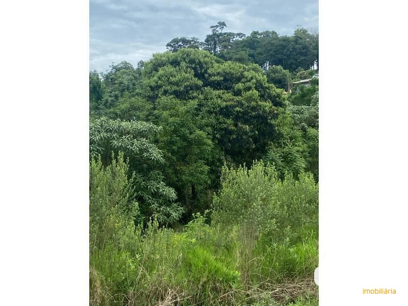 CHÁCARA - INTERIOR 18