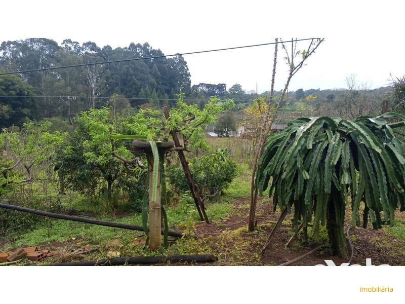 CHÁCARA - PALMITAL DOS FUNDOS 5