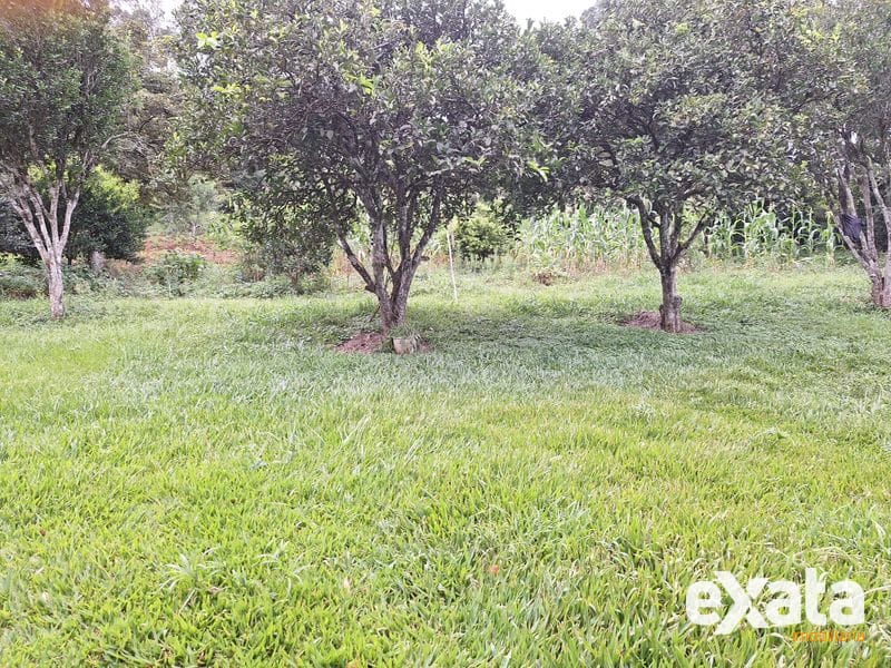 TERRENO À VENDA NO BAIRRO UNIVERSITÁRIO EM CHAPECÓ SC 3