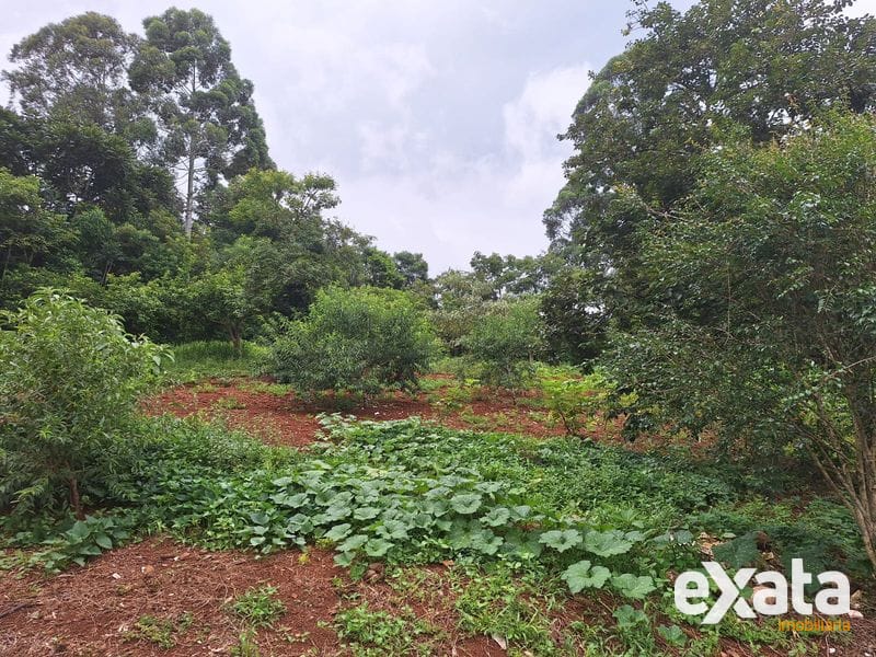TERRENO À VENDA NO BAIRRO UNIVERSITÁRIO EM CHAPECÓ SC 4