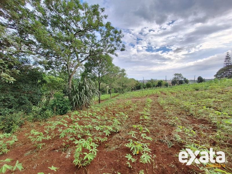 TERRENO À VENDA NO BAIRRO UNIVERSITÁRIO EM CHAPECÓ SC 6