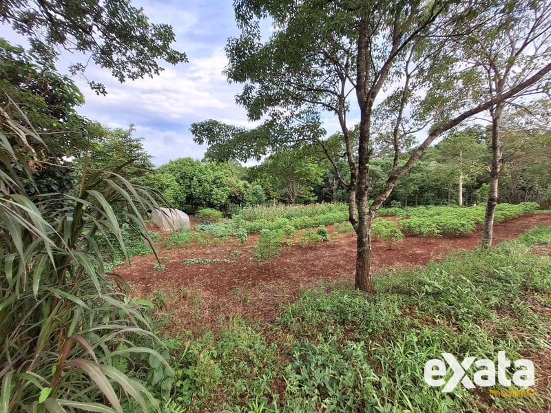 TERRENO À VENDA NO BAIRRO UNIVERSITÁRIO EM CHAPECÓ SC 7