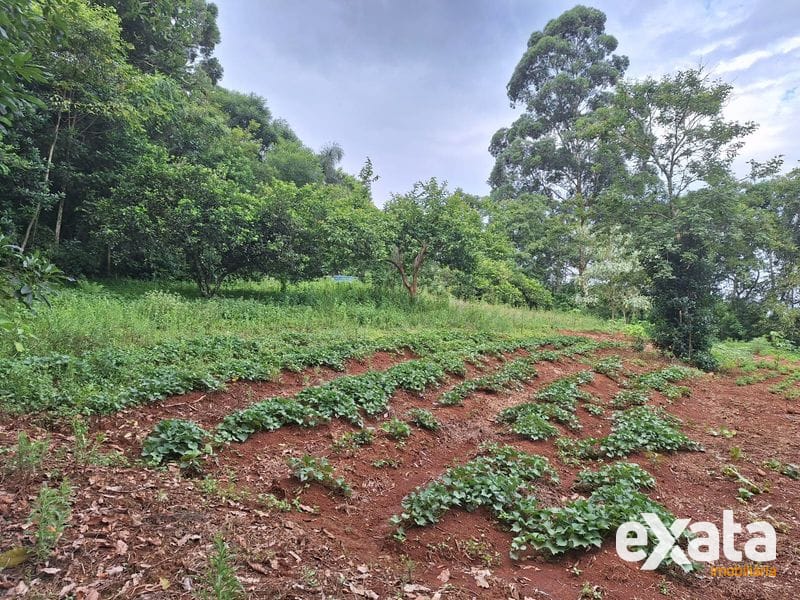 TERRENO À VENDA NO BAIRRO UNIVERSITÁRIO EM CHAPECÓ SC 9