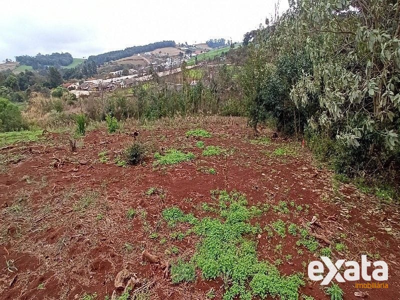 ÁREA COMERCIAL - VILA REAL 11