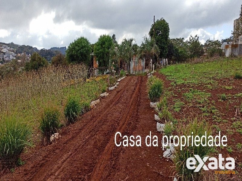 ÁREA COMERCIAL - VILA REAL 17