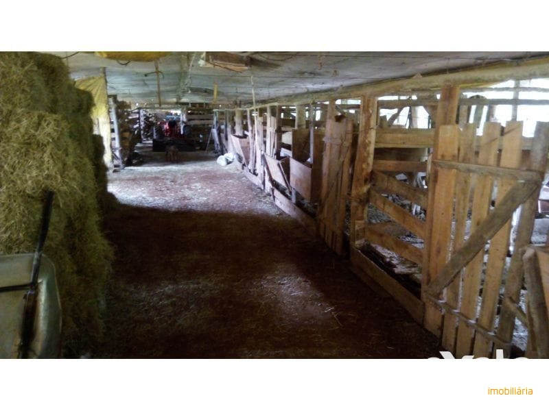 ÁREA DE TERRA - INTERIOR 10