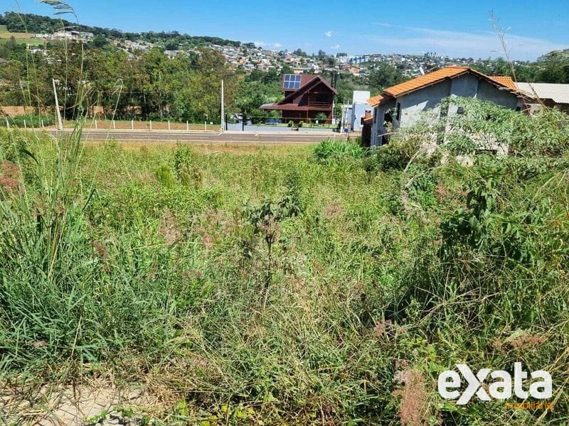 TERRENO - ESPLANADA 5