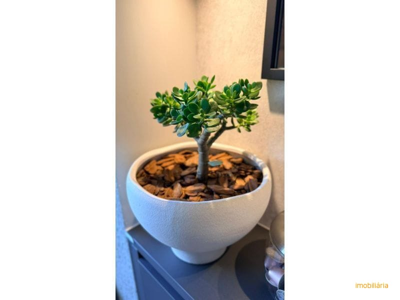 APARTAMENTO - JARDIM ITÁLIA 18